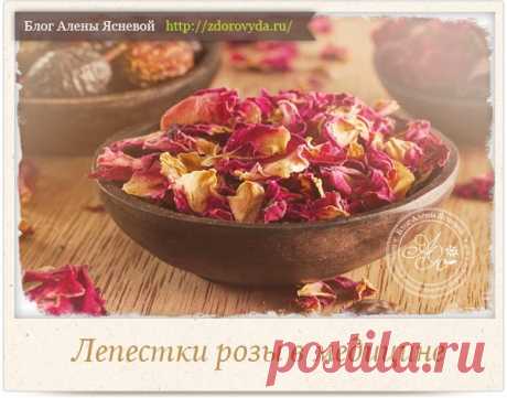 Розовые лепестки в народной медицине - рецепты применения