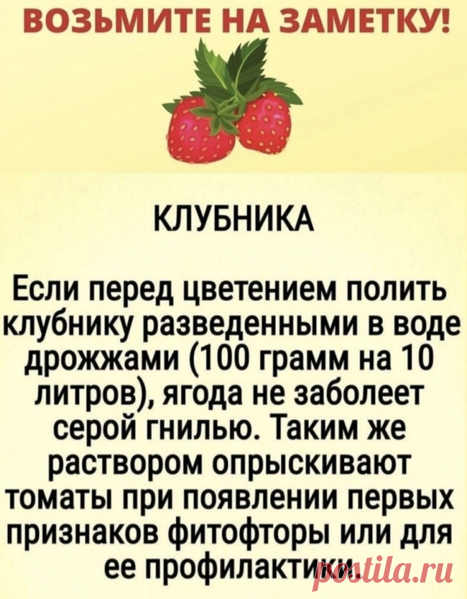 O6S26bs4f4A.jpg (843×1080)