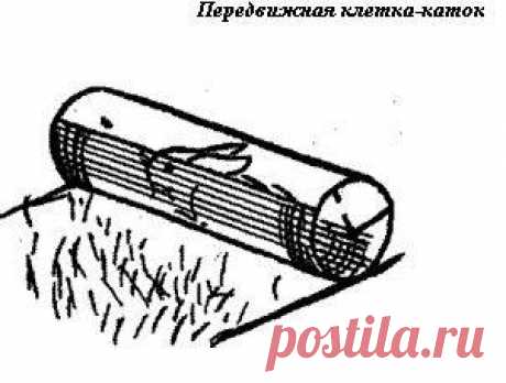 клетки для кроликов своими руками - 3 169 картинок. Поиск@Mail.Ru