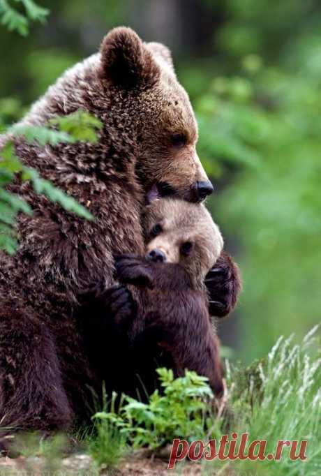 PEOPLE-PLACES-THINGS-ETC