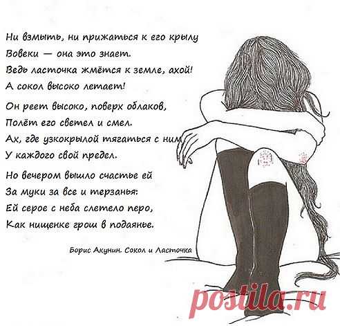 Борис Акунин. Сокол и Ласточка