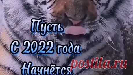 Правда💕