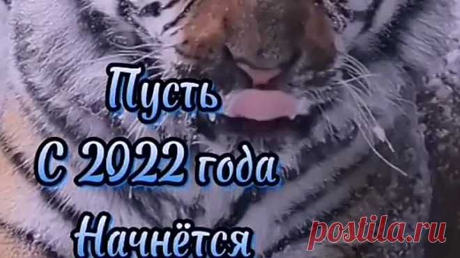 Правда💕