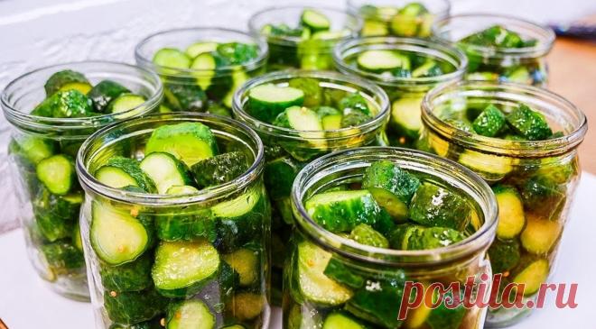Каждый год готовлю двойную порцию. Семья в восторге: хрустящие и ароматные огурчики на зиму — ПОЛЕЗНО ЗНАТЬ