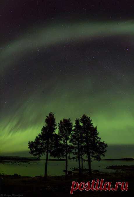 Здесь шелест изумрудных небес / Интересный космос