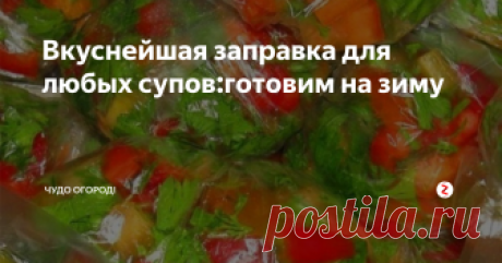 Вкуснейшая заправка для любых супов:готовим на зиму Готовить заправки для супов  на зиму очень удобно,в будущем Вам будет гораздо проще и быстрее приготовить супы,такая заправка подойдет абсолютно для любых супов,в том числе и для борща.
Ингредиенты которые будут необходимы нам в процессе приготовления:
по пол килограмма томатов,лука,морковки и перца и 300 грамм петрушки,так же будет необходимо пол килограмма пищевой поваренной соли.
Приготовление