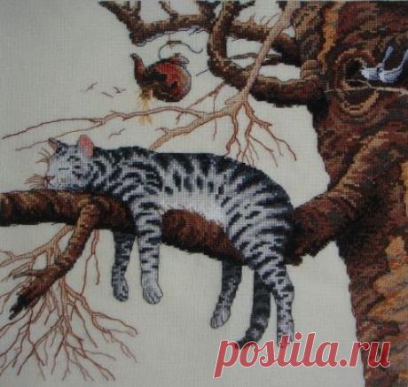 Вышивка кота.