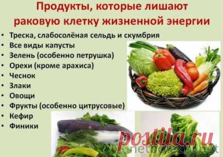 Что не любят раковые клетки в питании, рекомендуем есть