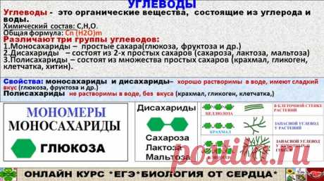 Добрый день! ПРОДОЛЖИМ ИЗУЧЕНИЕ ХИМИЧЕСКОГО СОСТАВА КЛЕТКИ. ИЗУЧАЕМ УГЛЕВОДЫ, ЛИПИДЫ
НА ЧТО ОБРАЩАЕМ ВНИМАНИЕ?
УГЛЕВОДЫ: моносахариды (глюкоза, фруктоза, рибоза и др), дисахариды (сахароза, мальтоза, лактоза) и полисахариды (крахмал, гликоген, клетчатка, хитин, муреин, пектин) их свойства и функции.
ЛИПИДЫ: вещества, относящиеся к этой группе (жирные кислоты, масла, жиры, жирорастворимые витамины, холестерин, половые гормоны и др.) Значение гидрофобности липидов, функции л...