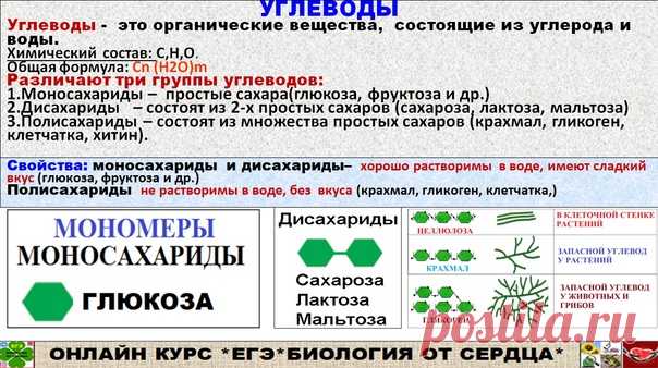 Добрый день! ПРОДОЛЖИМ ИЗУЧЕНИЕ ХИМИЧЕСКОГО СОСТАВА КЛЕТКИ. ИЗУЧАЕМ УГЛЕВОДЫ, ЛИПИДЫ
НА ЧТО ОБРАЩАЕМ ВНИМАНИЕ?
УГЛЕВОДЫ: моносахариды (глюкоза, фруктоза, рибоза и др), дисахариды (сахароза, мальтоза, лактоза) и полисахариды (крахмал, гликоген, клетчатка, хитин, муреин, пектин) их свойства и функции.
ЛИПИДЫ: вещества, относящиеся к этой группе (жирные кислоты, масла, жиры, жирорастворимые витамины, холестерин, половые гормоны и др.) Значение гидрофобности липидов, функции л...