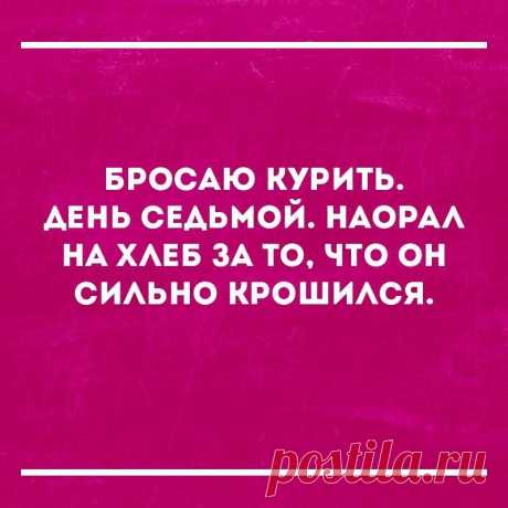 Фотографии на стене сообщества – 40 066 фотографий