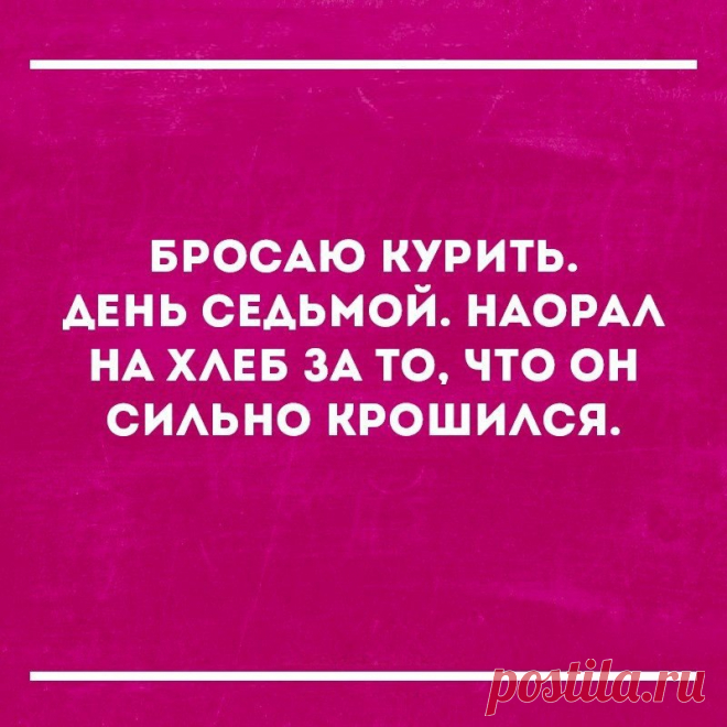 Фотографии на стене сообщества – 40 066 фотографий