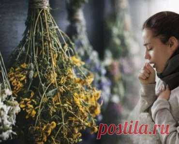 Эффективные растения для лечения и профилактики бронхита
Бронхит — это воспаление магистральных дыхательных путей. Он вызывает кашель и другие респираторные проблемы. Острый бронхит может быть вызван вирусной инфекцией или простудой. В то время как хронический бронхит встречается в основном у курильщиков или у людей с длительными заболеваниями легких, такими как эмфизема. Но как известно в обоих случаях бронхит вызывает кашель, который может […]
Читай дальше на сайте. Жми подробнее ➡