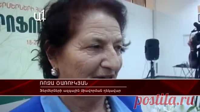 Одноклассники