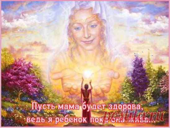 (20) Одноклассники