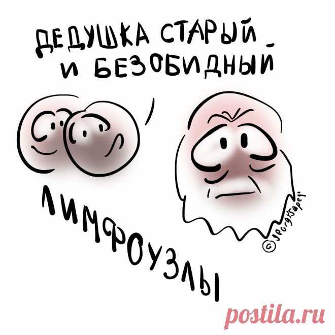 Как отличить обычные увеличенные лимфоузлы от метастазов | Для пациентов | Яндекс Дзен