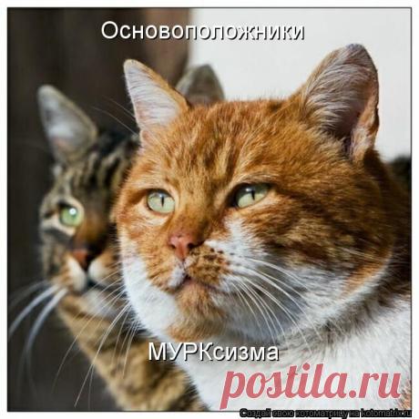 Котоматрица: Круть