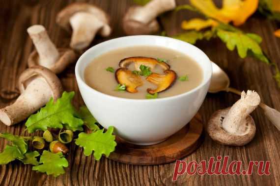 Быстрый  с грибами / Кулинария / begloglot.ru - интересное рядом