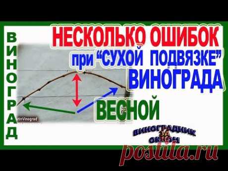 🍇 НЕ повторяй ЭТИ  ОШИБКИ при ВЕСЕННЕЙ ПОДВЯЗКЕ  ВИНОГРАДА. Сухая подвязка винограда весной.