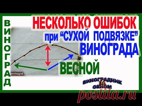 🍇 НЕ повторяй ЭТИ  ОШИБКИ при ВЕСЕННЕЙ ПОДВЯЗКЕ  ВИНОГРАДА. Сухая подвязка винограда весной.
