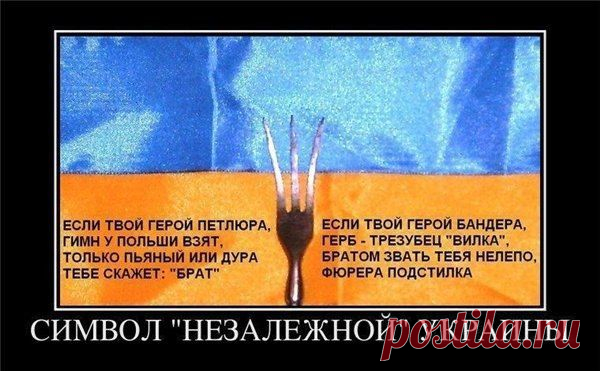 НОВОРОССИЯ | Юго-Восток Украины | АнтиМайдан