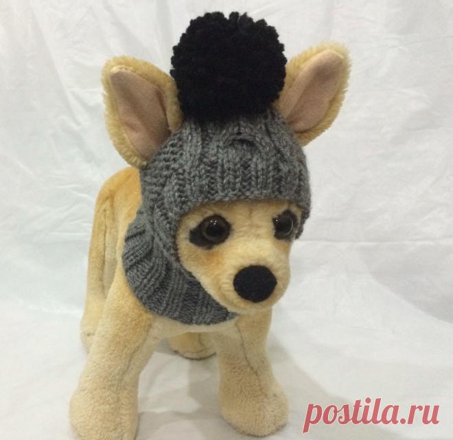 Просмотр темы - Я просто оставлю это тут. Хотелось бы вот такую шапочку на собаку. • ВсеХвосты.Ру- Помощь бездомным животным. Все о животных. Взять собаку, кошку, передержки, воспитание, уход за животными.