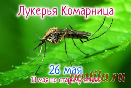 С праздником Лукерьи Комарницы! В день небесной покровительницы хочу пожелать, чтобы в твоей жизни всегда было место настоящим чудесам. Открытки на Лукерья Комарница!