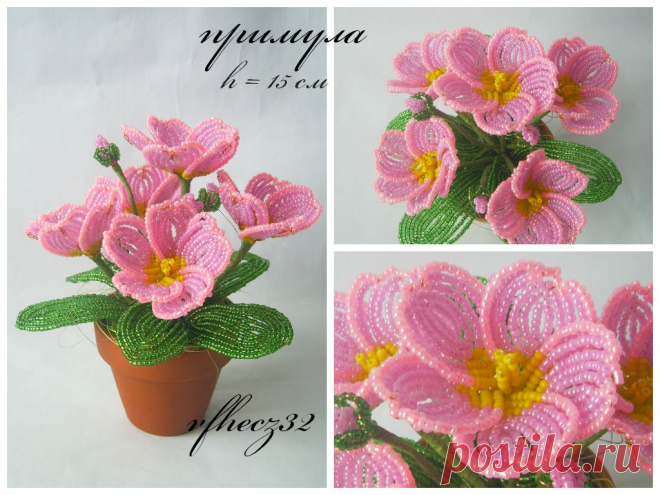 biser.info_45987_primula_1395504079.png (1024×768)