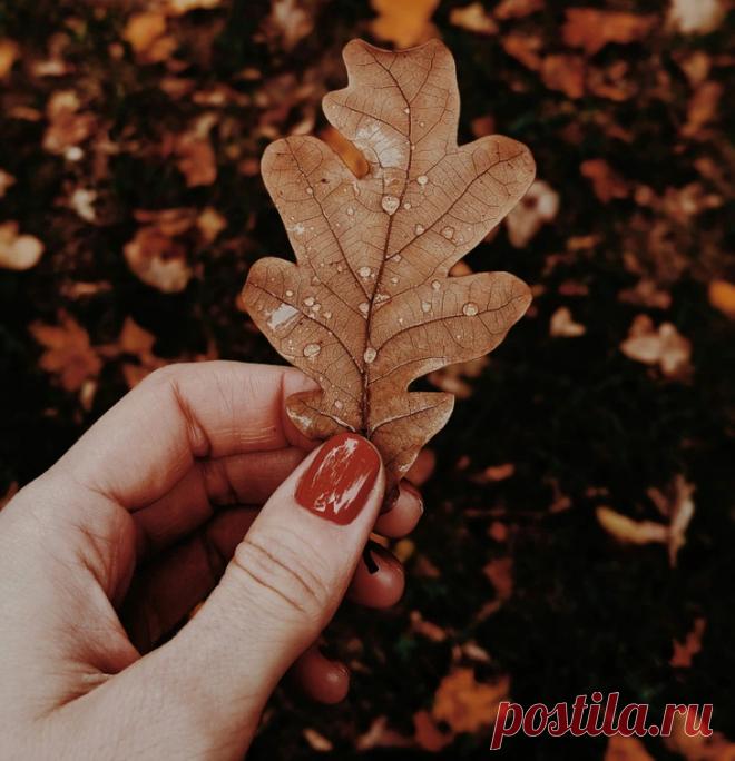 e51a325686b8dfffeefd3017f4.jpg.webp (728×754)