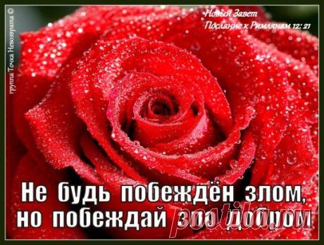 (15) Одноклассники