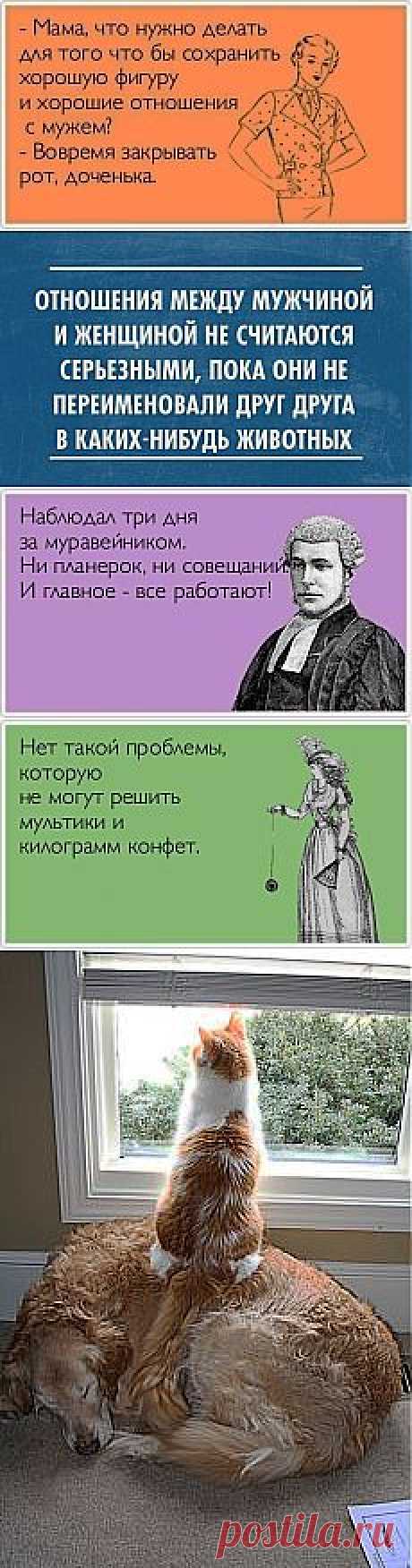 THEFULLERVIEW и другие популярные материалы на Постила.ru - lysenko_oksana1@mail.ru - Почта Mail.Ru