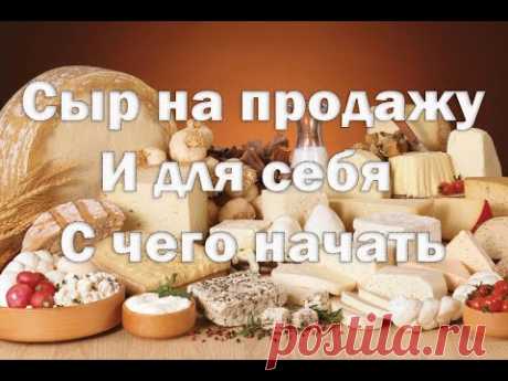 Сыроделие , как бизнес   С чего начать , Стоит ли покупать сыроварню начинающему сыроделу.
