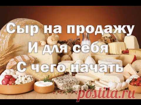 Сыроделие , как бизнес   С чего начать , Стоит ли покупать сыроварню начинающему сыроделу.