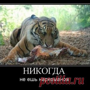 Египет. Бедуин изо всех сил выбивает свой ковер. Подходит русский турист: – Чё, братан, не заводится?