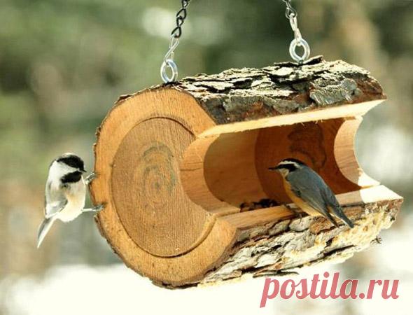 Кормушка для птиц: идеи как сделать своими руками из подручных средств