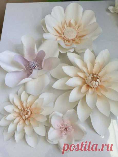 (5) Facebook