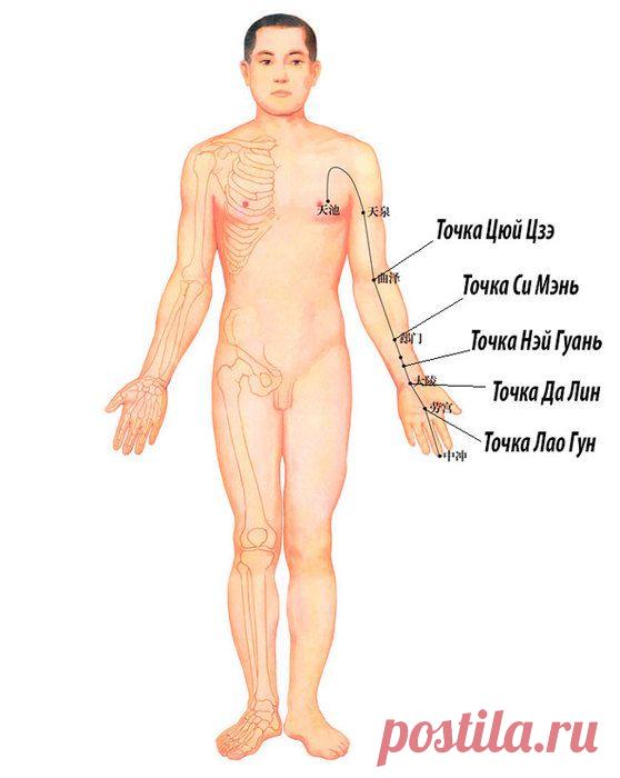 Канал перикарда.Как предотвратить проблемы с сосудами сердца и головного мозга..