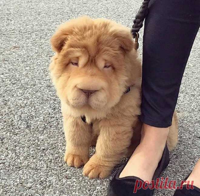(51) Facebook