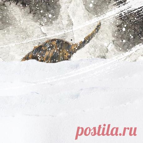Милые иллюстрации