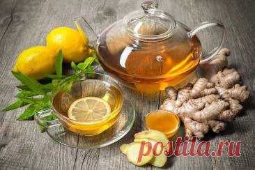Какие растения помогут при кашле?