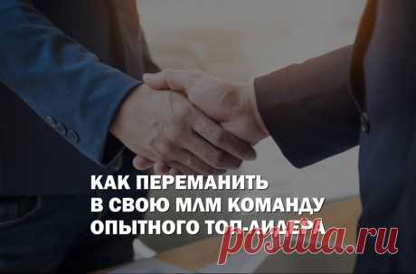 Опытный Топ-лидер в вашей команде - это гарантия успешного масштабирования бизнеса. Переходите в блог FlawlessMLM по ссылке и читайте о том, как привлечь высококлассных профессионалов, которые обеспечат реальный, долгосрочный рост начинающего МЛМ проекта.