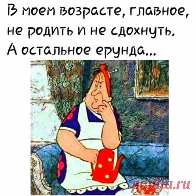 Сегодня такая погода, что сижу и думаю: а что, если окрошку сделать на водке… / Писец - приколы интернета