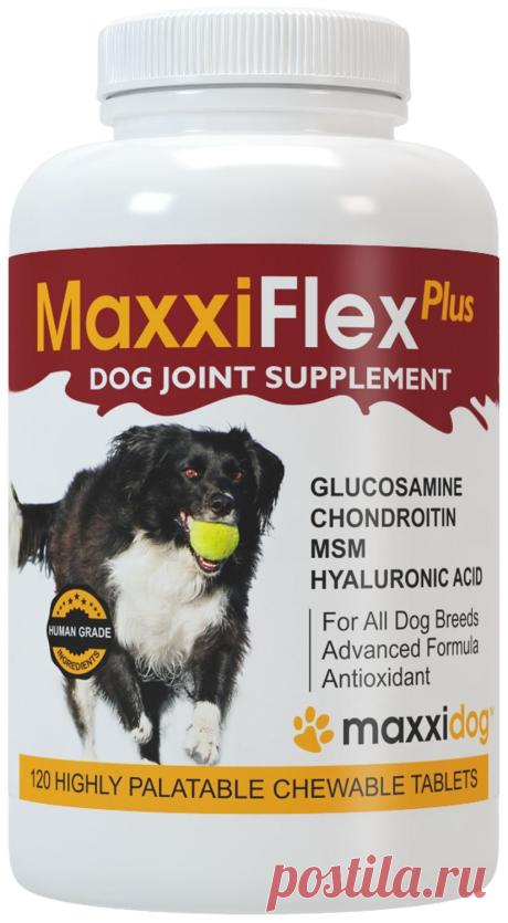MaxxiDog - MaxxiFlex Plus Dog Joint Supplement with Glucosamine, Chondroitin, MSM, Hyaluronic Acid, Devils Claw, Bromelain and Turmeric - 120 Liver Flavoured Tablets: Amazon.co.uk: Pet Supplies