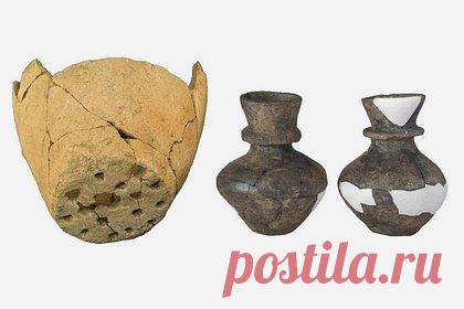 Обнаружены доказательства производства сыра в каменном веке. Ученые Университета Йорка в Великобритании обнаружили доказательства производства сыра с использованием молока нескольких животных на территории современной Польши в эпоху позднего неолита. Этот метод уменьшал содержание лактозы в молочных продуктах, к которой у большинства древних людей была непереносимость.