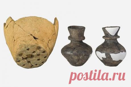 Обнаружены доказательства производства сыра в каменном веке. Ученые Университета Йорка в Великобритании обнаружили доказательства производства сыра с использованием молока нескольких животных на территории современной Польши в эпоху позднего неолита. Этот метод уменьшал содержание лактозы в молочных продуктах, к которой у большинства древних людей была непереносимость.