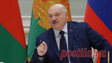 Лукашенко посоветовал не есть картофель слишком часто