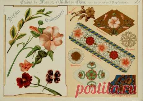 Fleurs d'après nature et fleurs ornementales : études de fleurs et feulliages avec diverses interprétations applicables à l'enluminure et à la décoration : Guillot, Ernest : Free Download, Borrow, and Streaming : Internet Archive