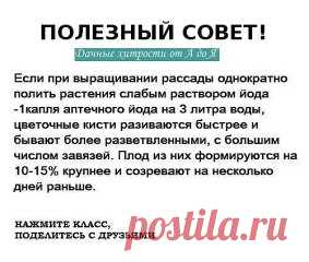 Одноклассники