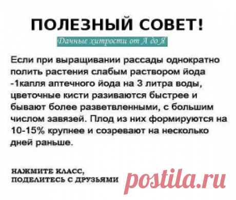 Одноклассники