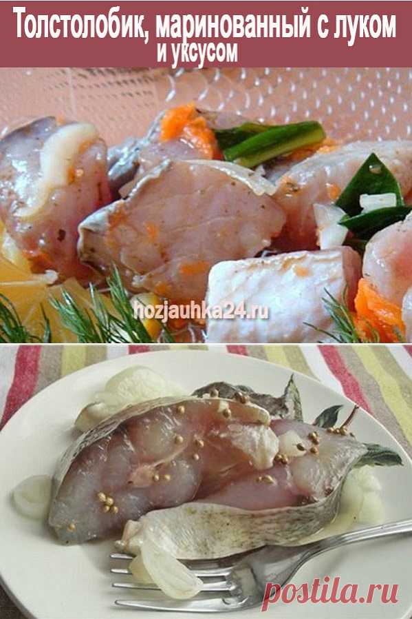 Толстолобик, маринованный с луком и уксусом — СОВЕТНИК
